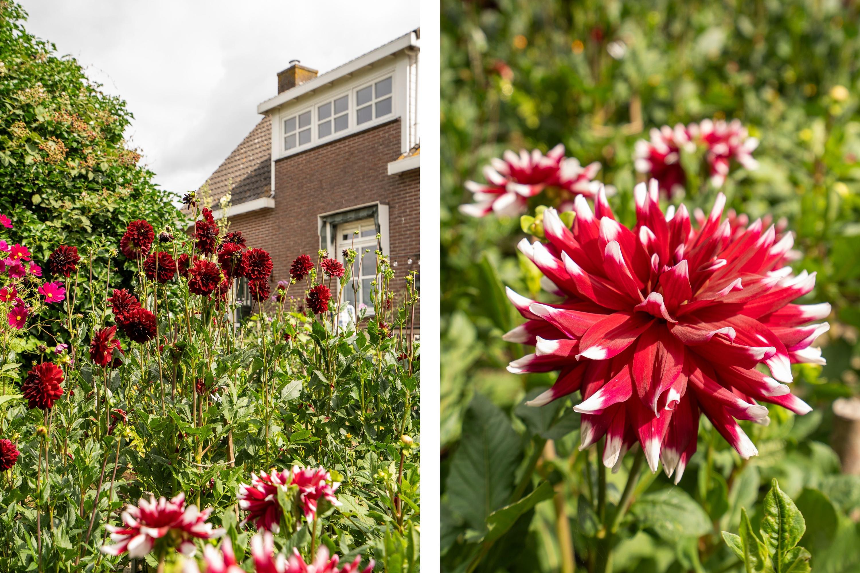 Koenderseweg 5, afbeelding 57