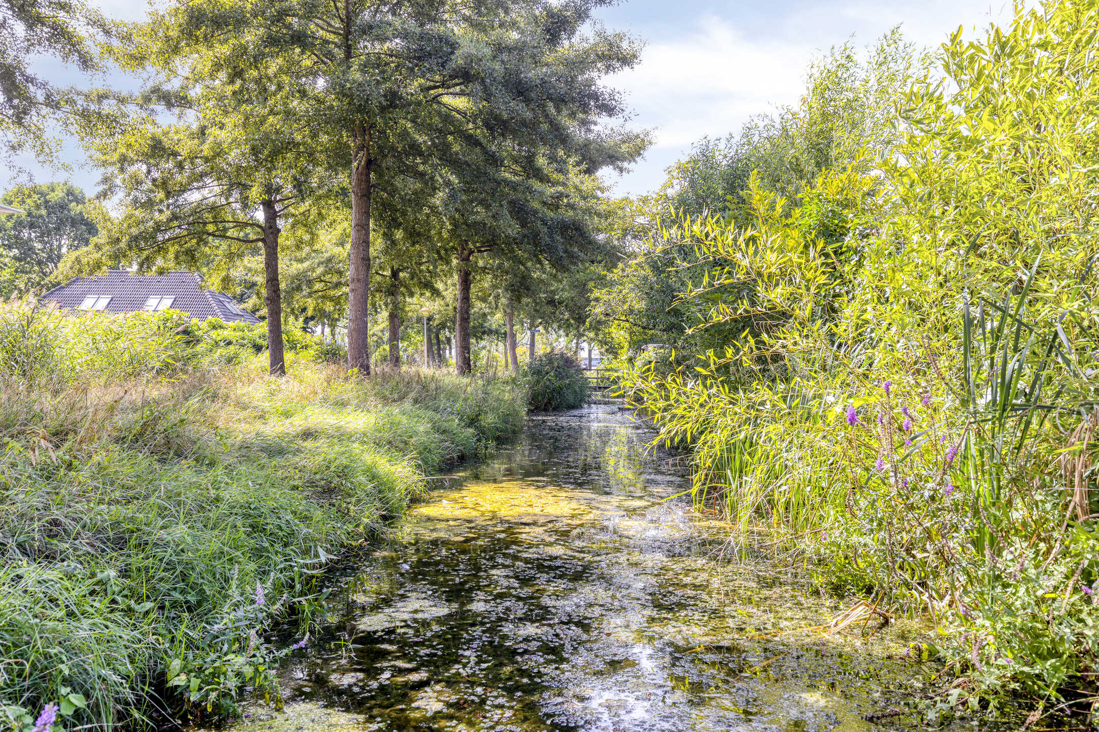 Marsstraat 17, afbeelding 34