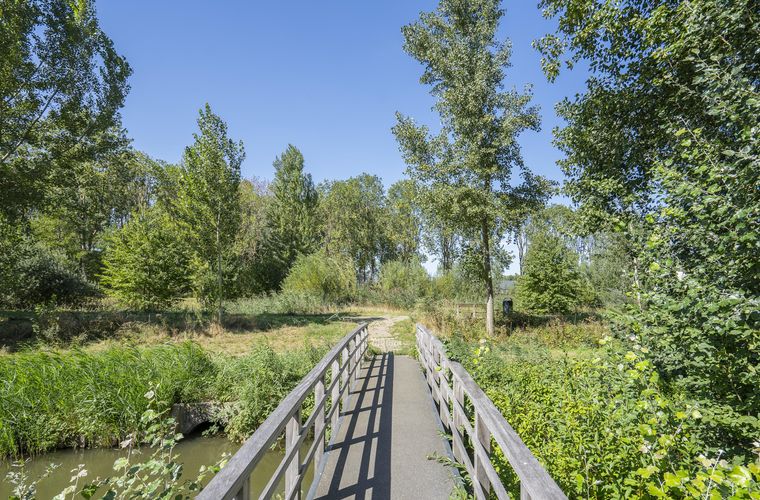 Afbeelding 31