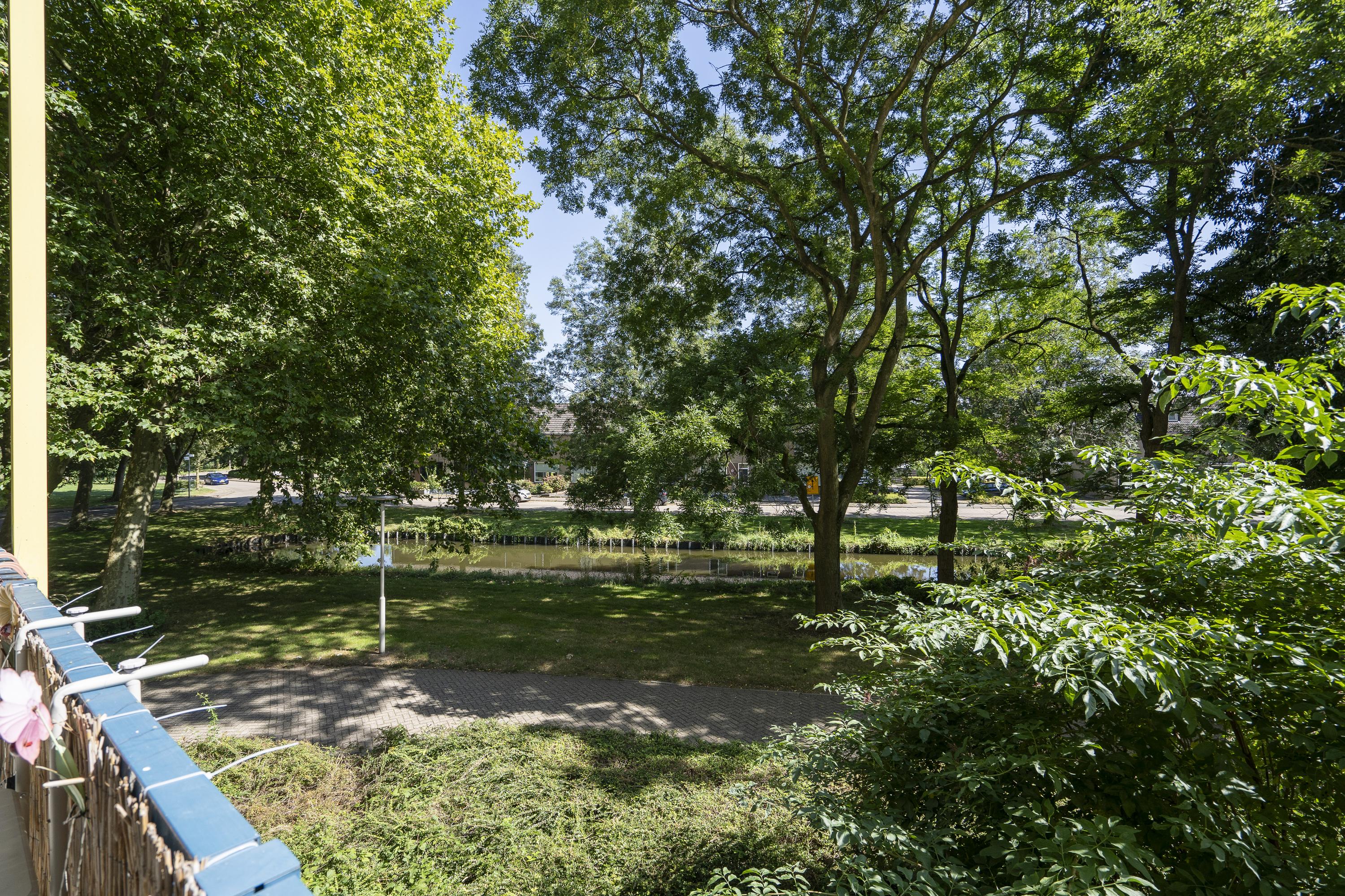 Dokter van Stratenweg 169, afbeelding 8