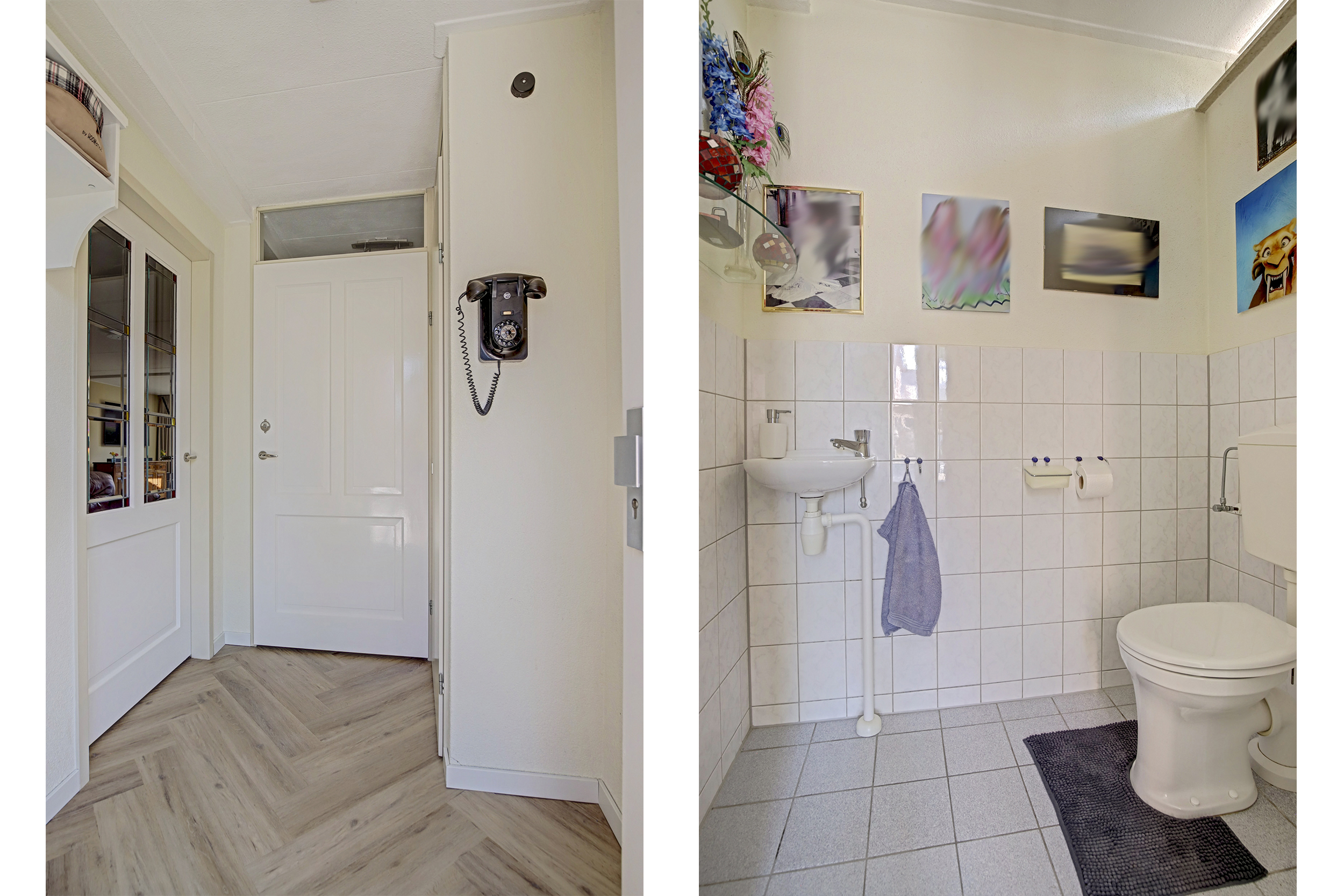 Zilvervosstraat 11, afbeelding 7