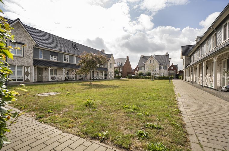 Afbeelding 61