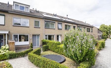 Leeuwerikstraat 26