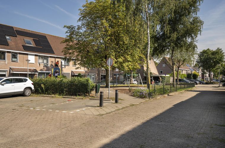 Afbeelding 50