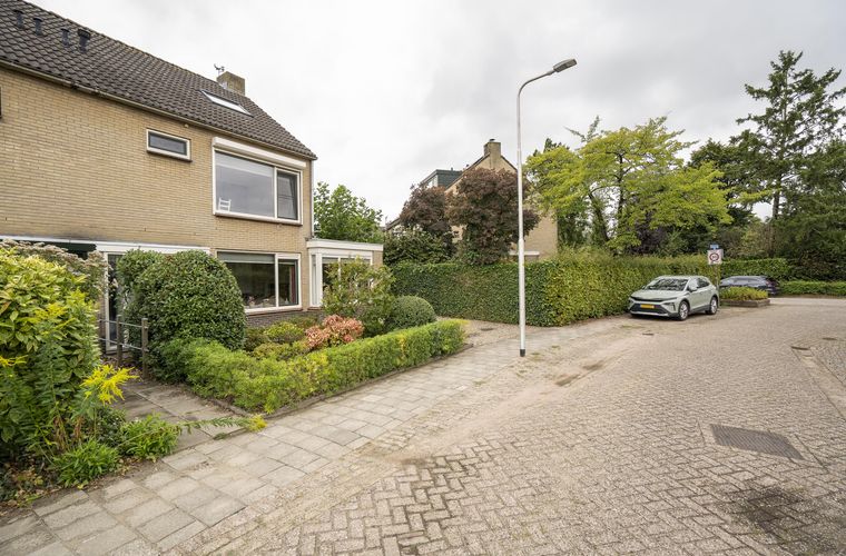 Afbeelding 50