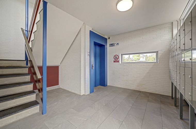 Afbeelding 29