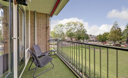 Oranjehof 51
