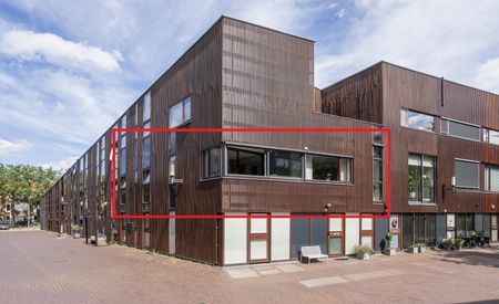 Dotterbloem 9