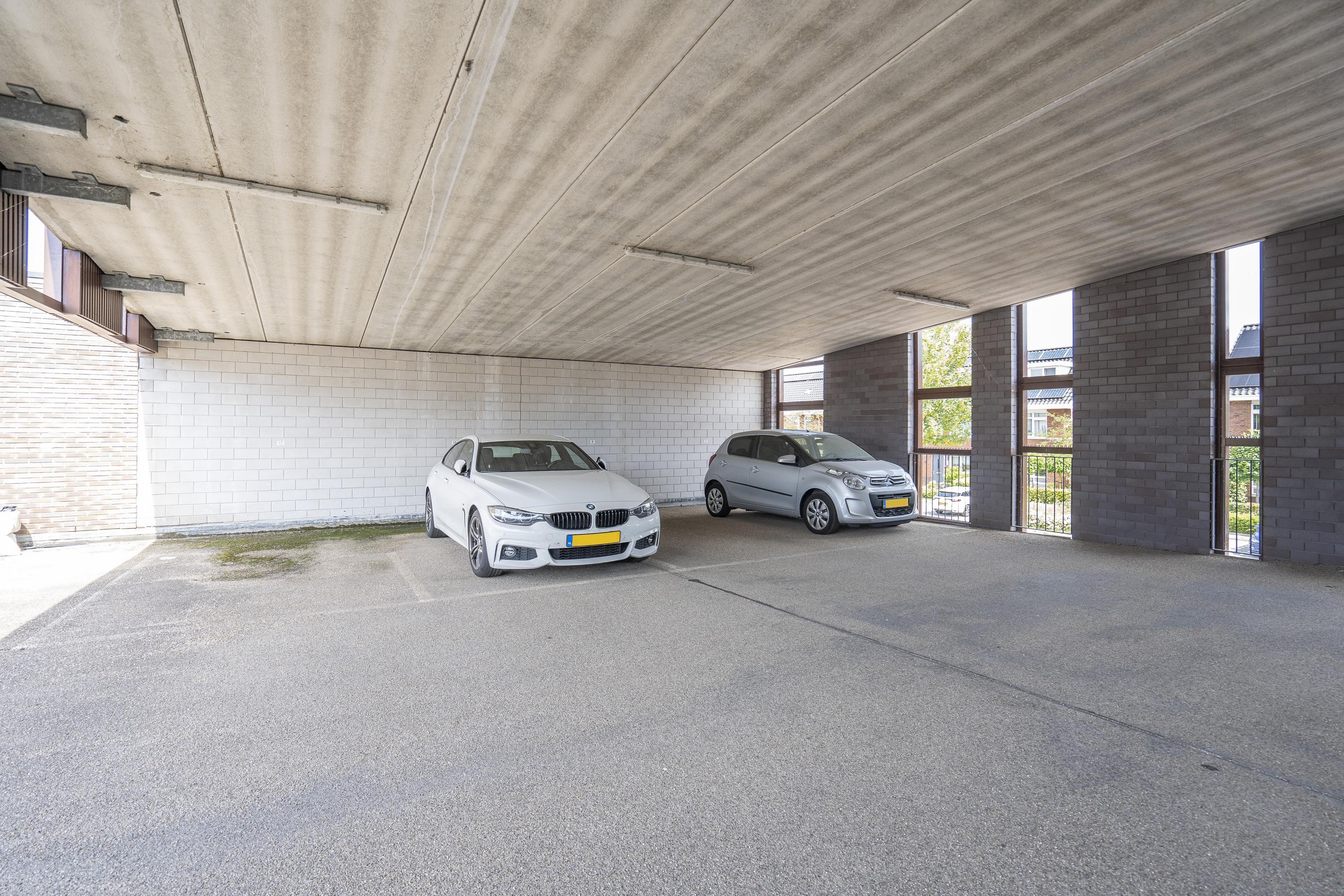 Dotterbloem 9, afbeelding 2
