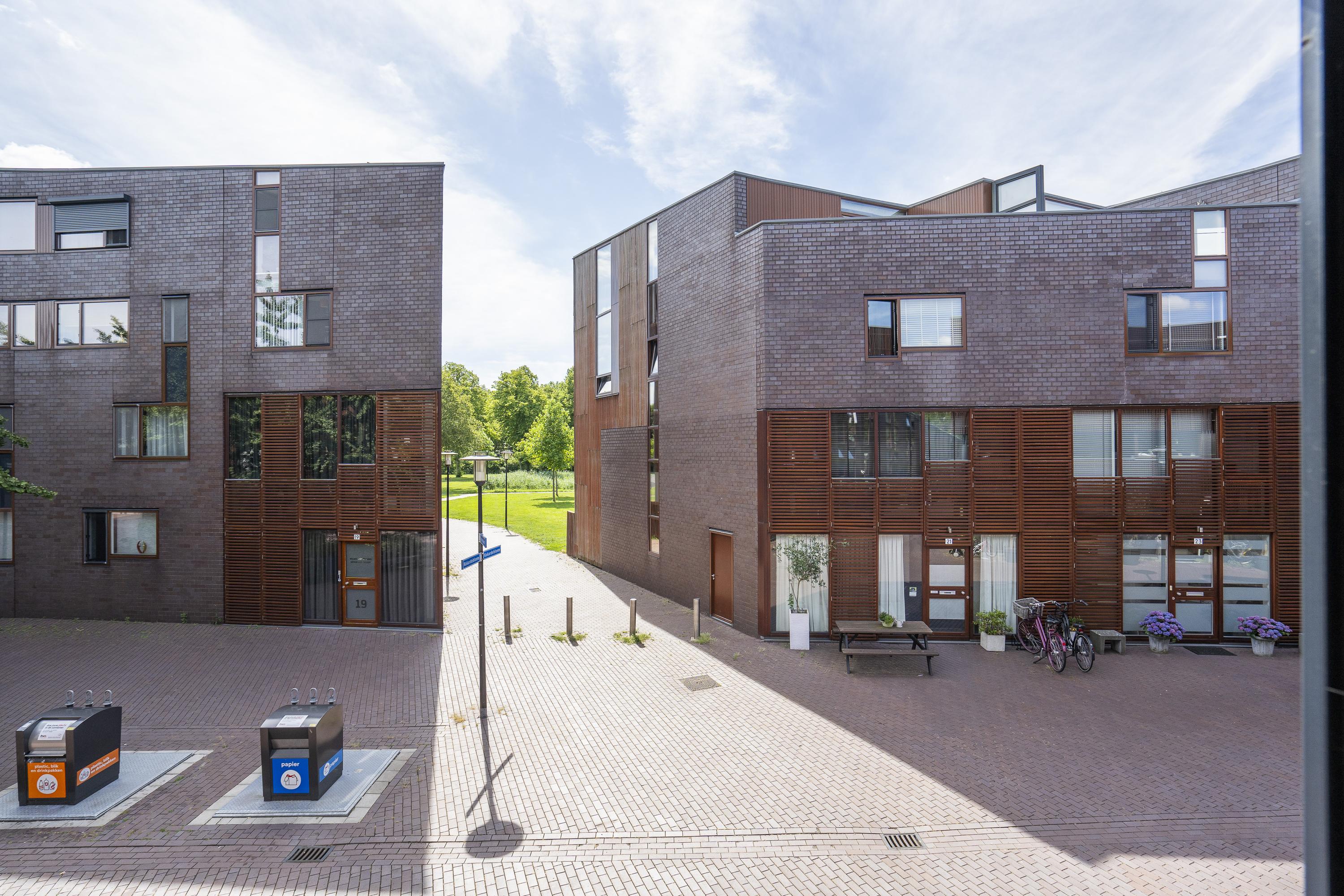 Dotterbloem 9, afbeelding 13