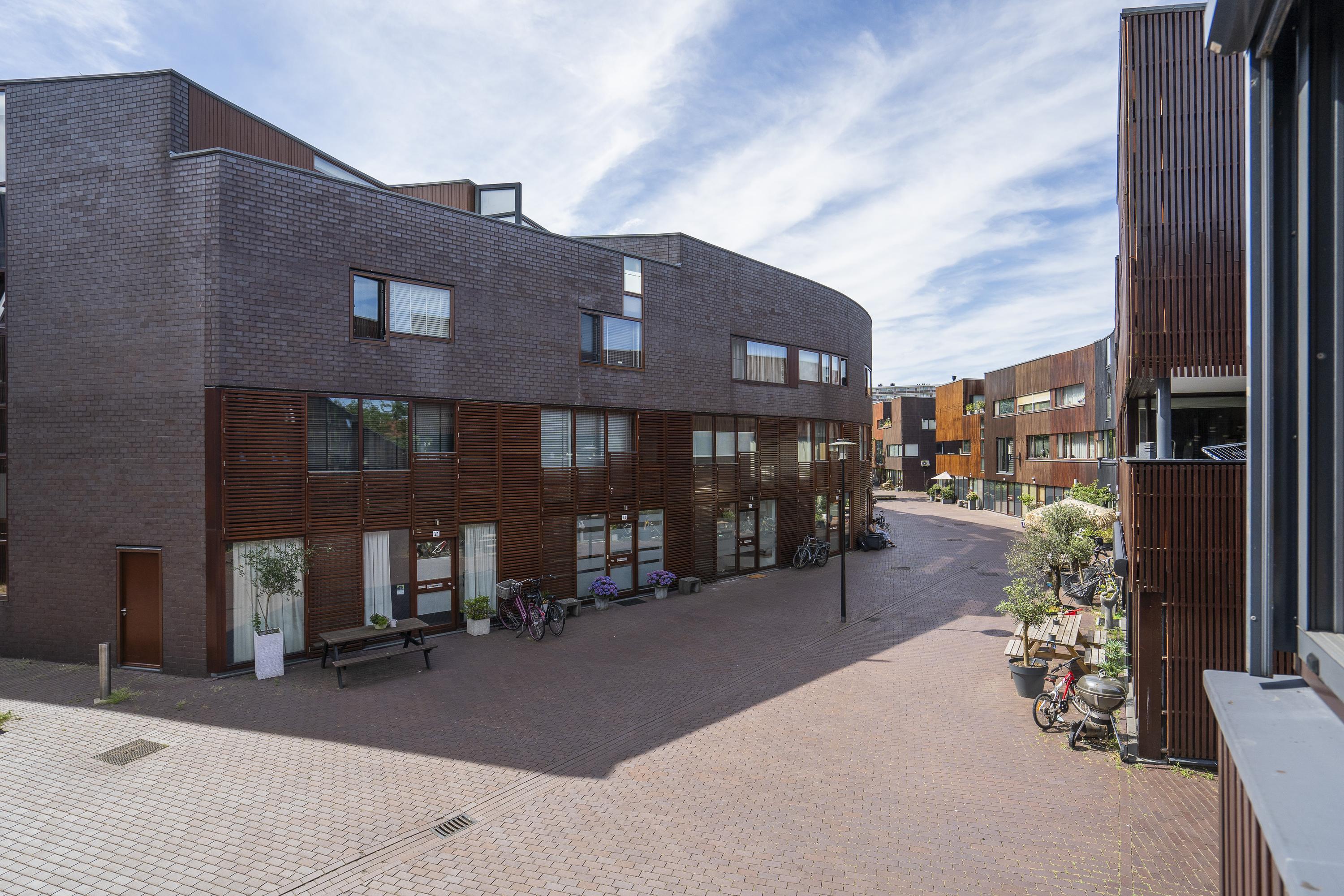Dotterbloem 9, afbeelding 14
