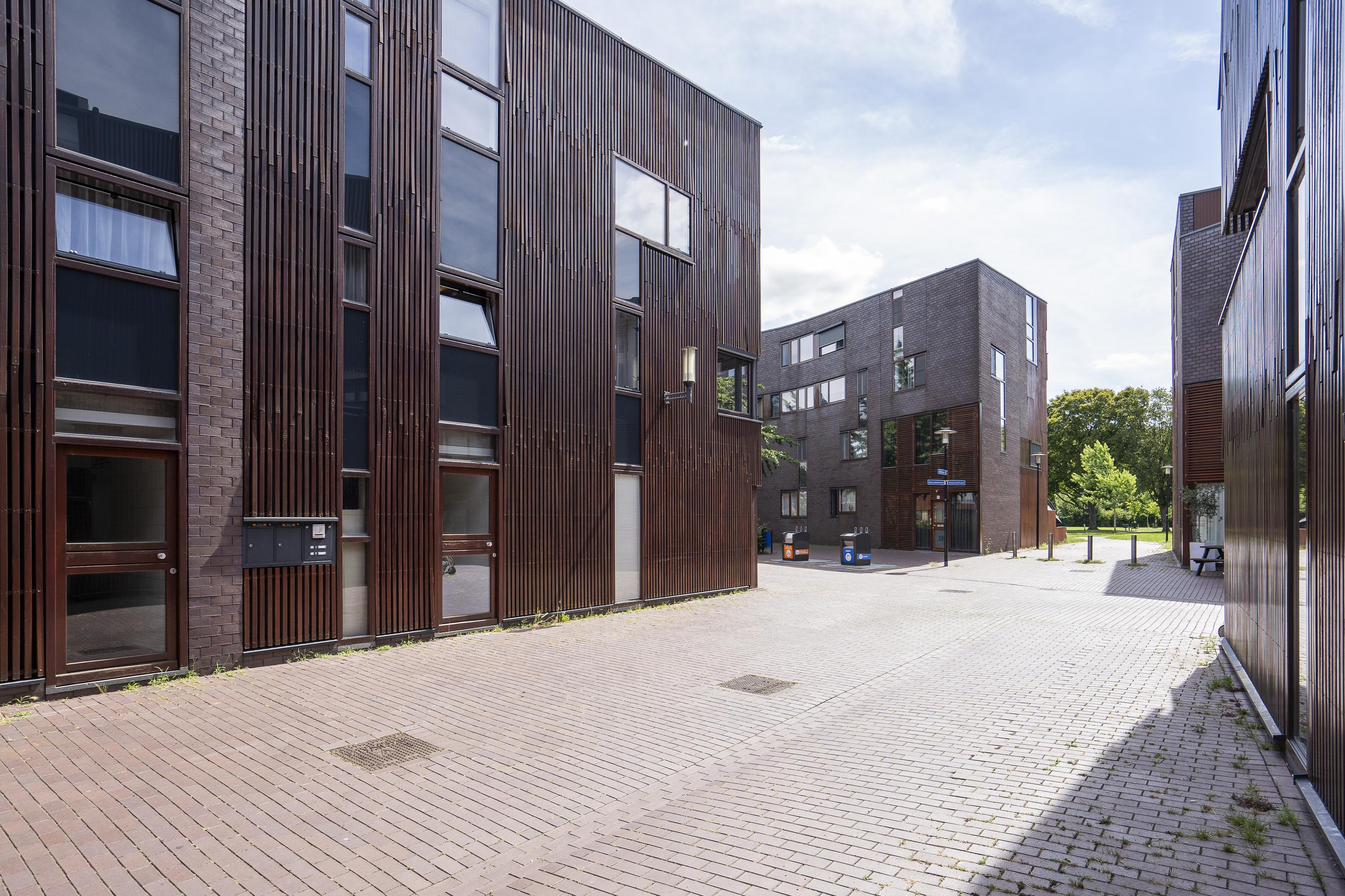 Dotterbloem 9, afbeelding 26