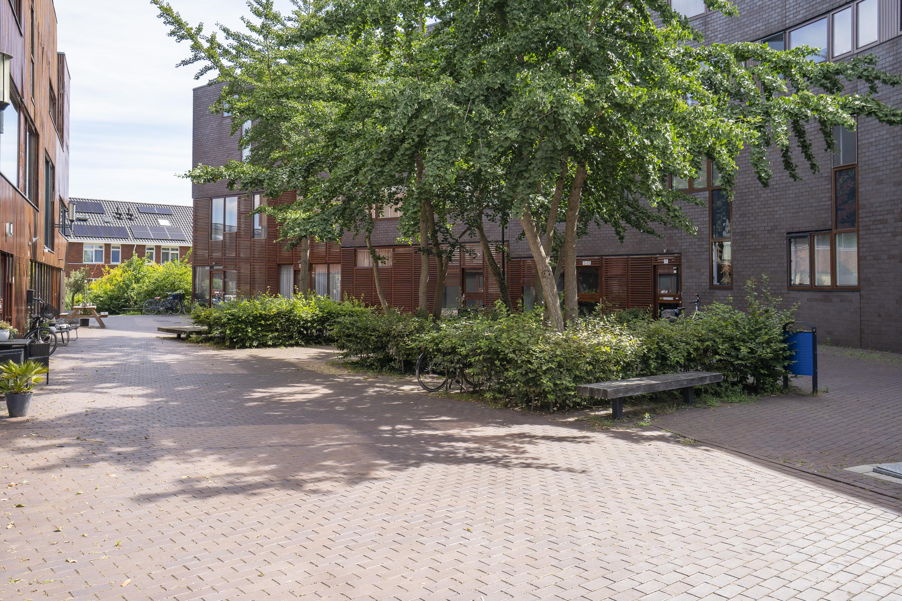 Dotterbloem 9, afbeelding 27