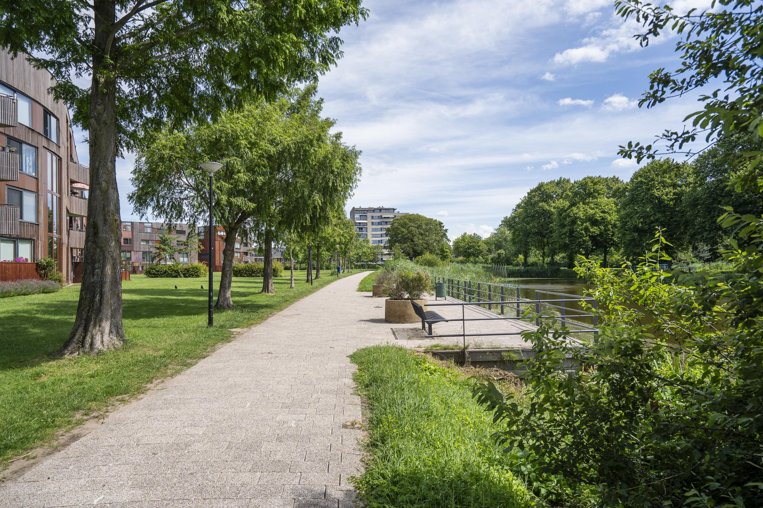 Dotterbloem 9, afbeelding 28