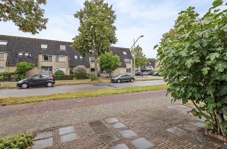 Afbeelding 36