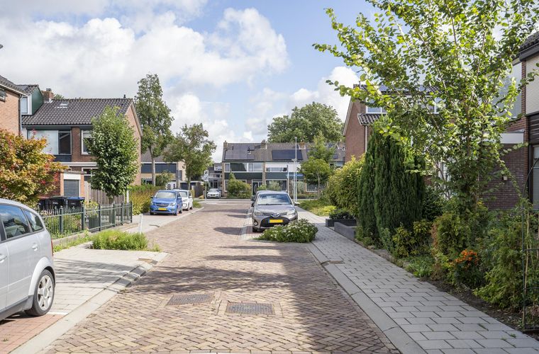 Afbeelding 31