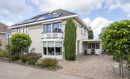 Koperwiek 3