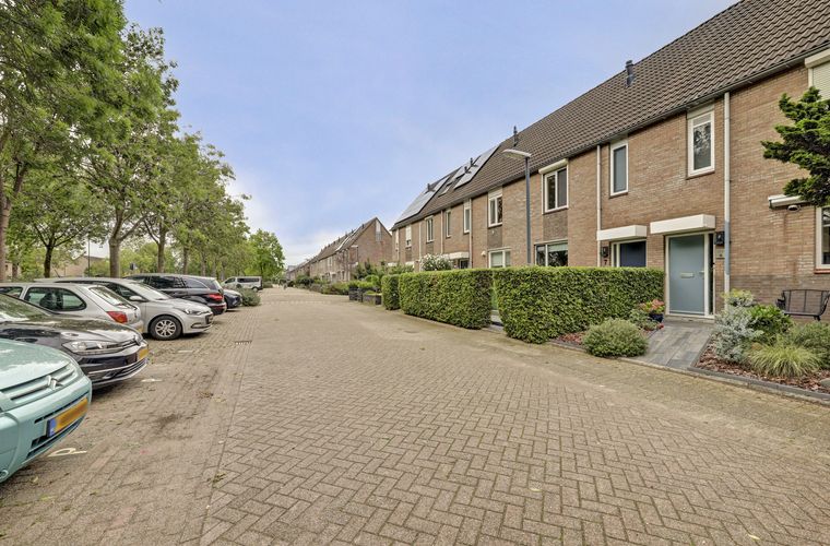 Afbeelding 38