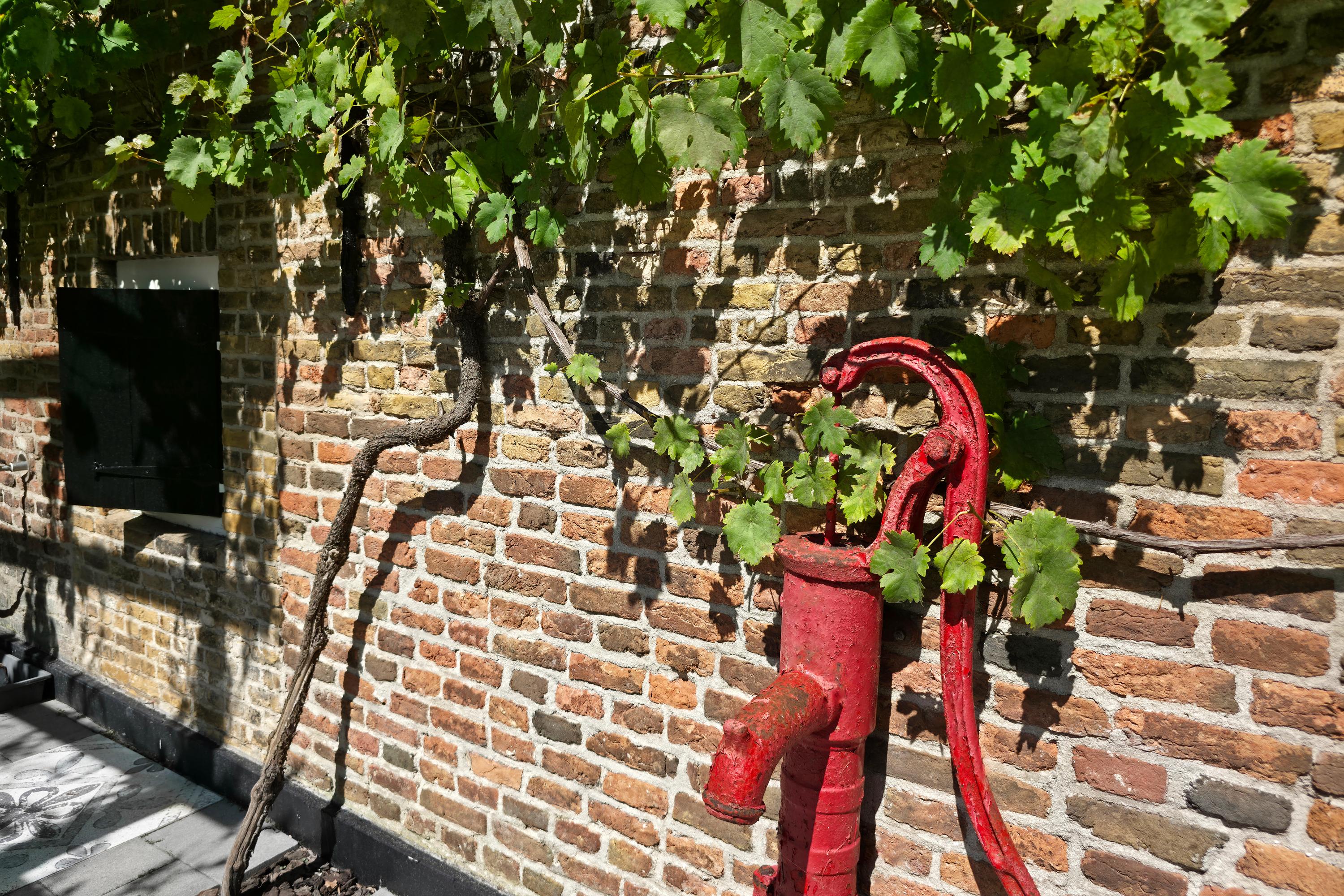 Nieuwe Veer 37, afbeelding 15