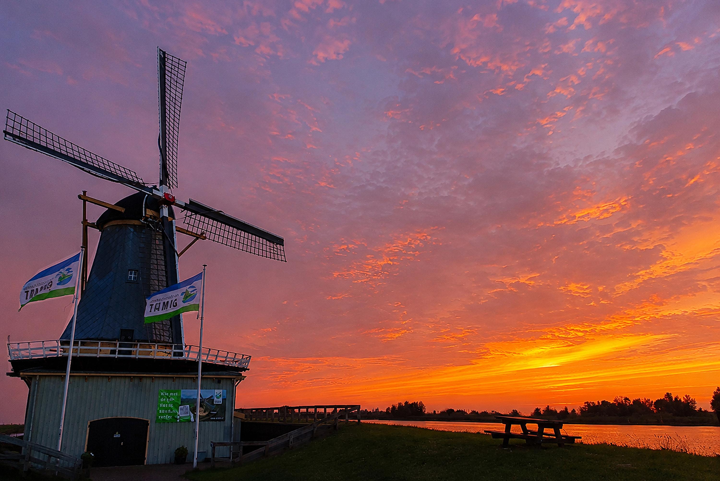 Nieuwe Veer 37, afbeelding 61