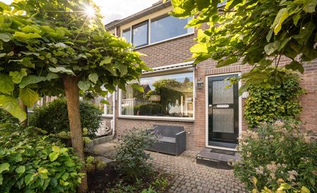 Graaf Adolfstraat 30