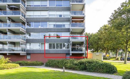 P.J. Oudstraat 126