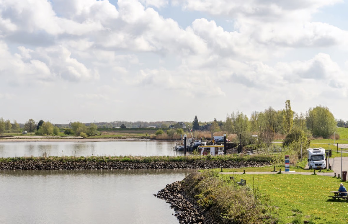 Lisdodde 6, afbeelding 55