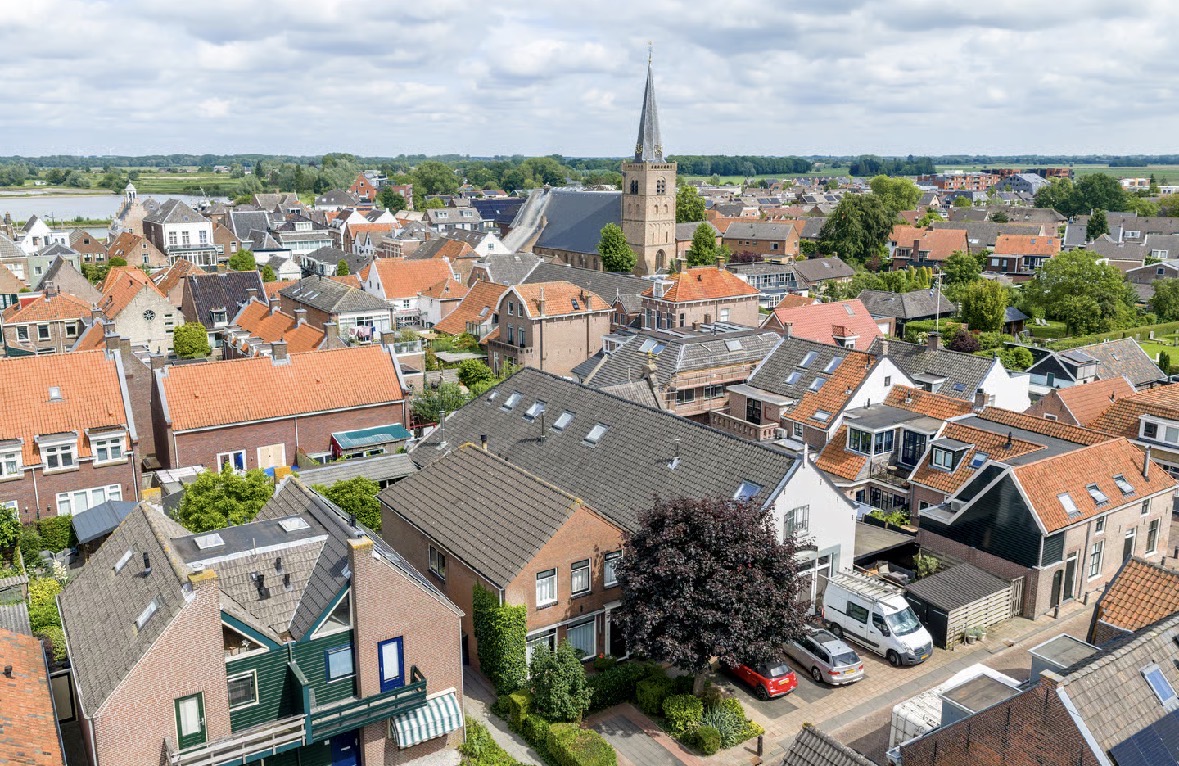 Lisdodde 6, afbeelding 53