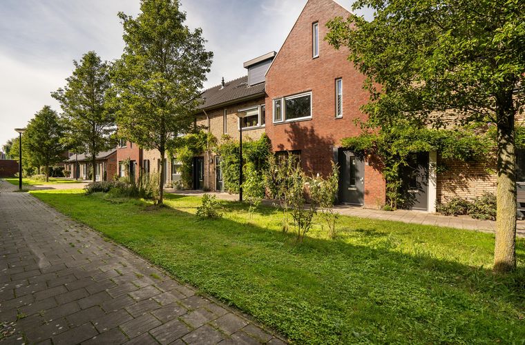 Afbeelding 37