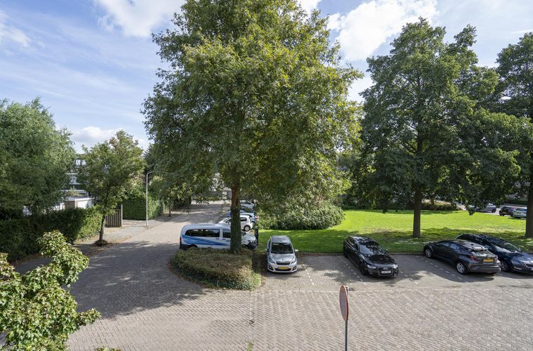 Afbeelding 21