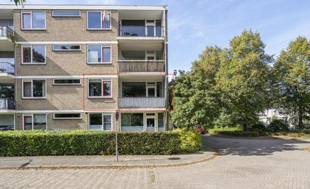 Wieldraaierstraat 3