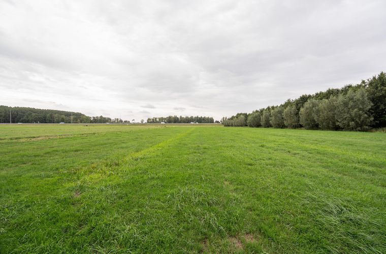 Afbeelding 67