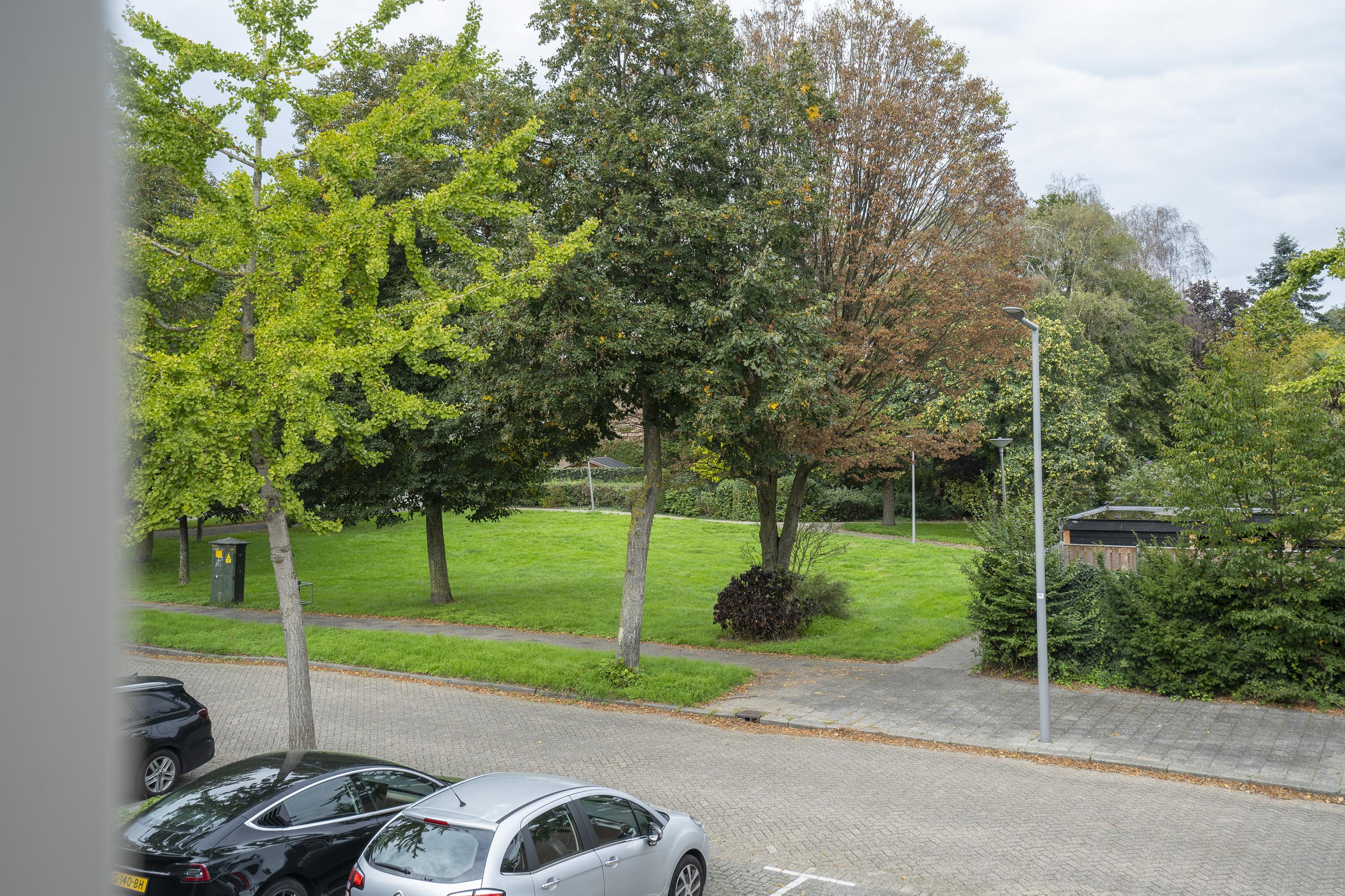 Rupsklaver 106, afbeelding 17