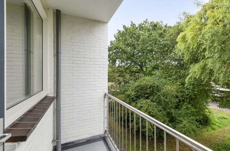 Afbeelding 22
