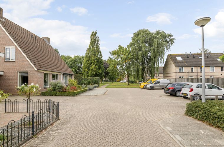 Afbeelding 43
