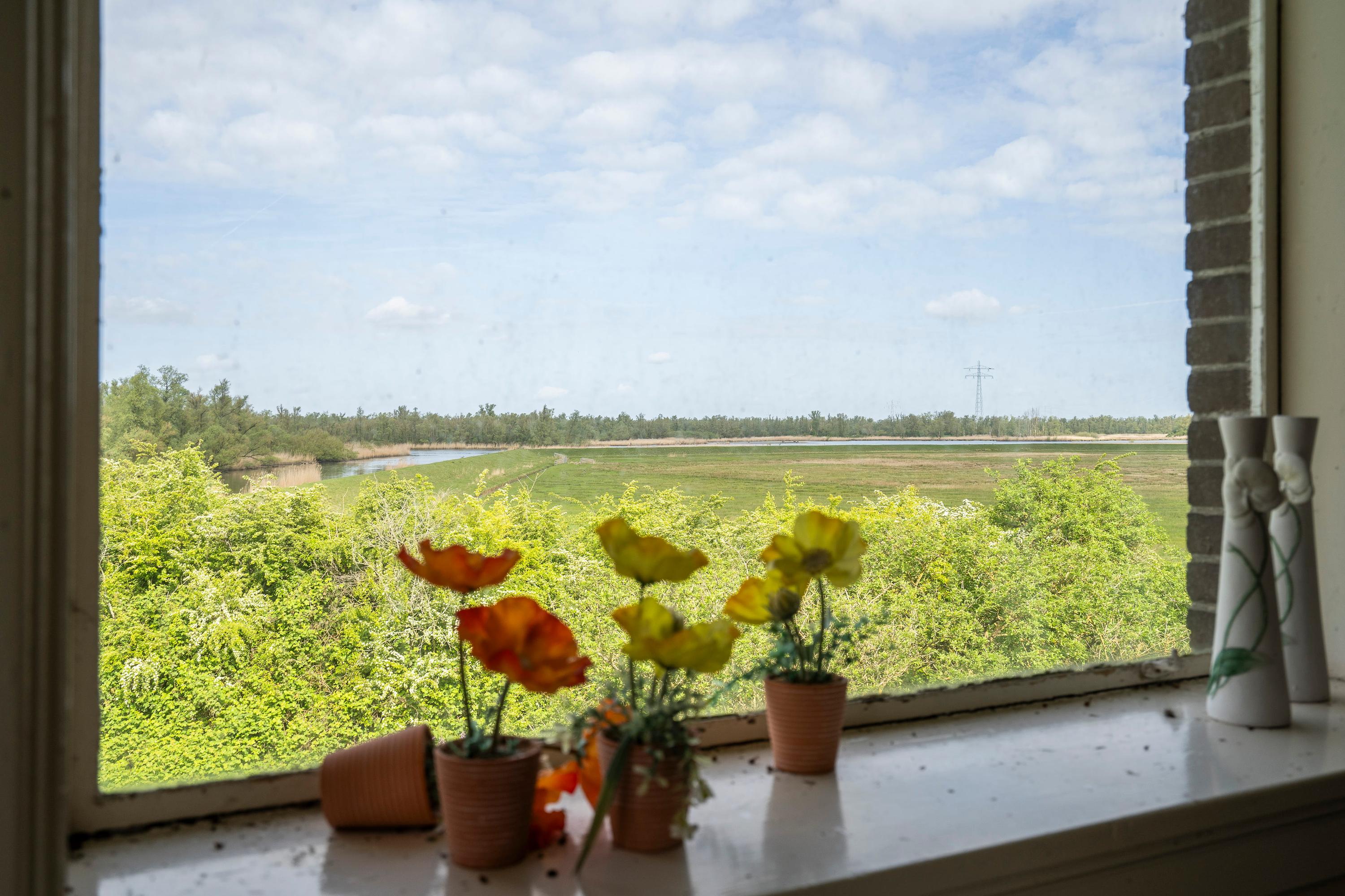 Biesbosch 30, afbeelding 33