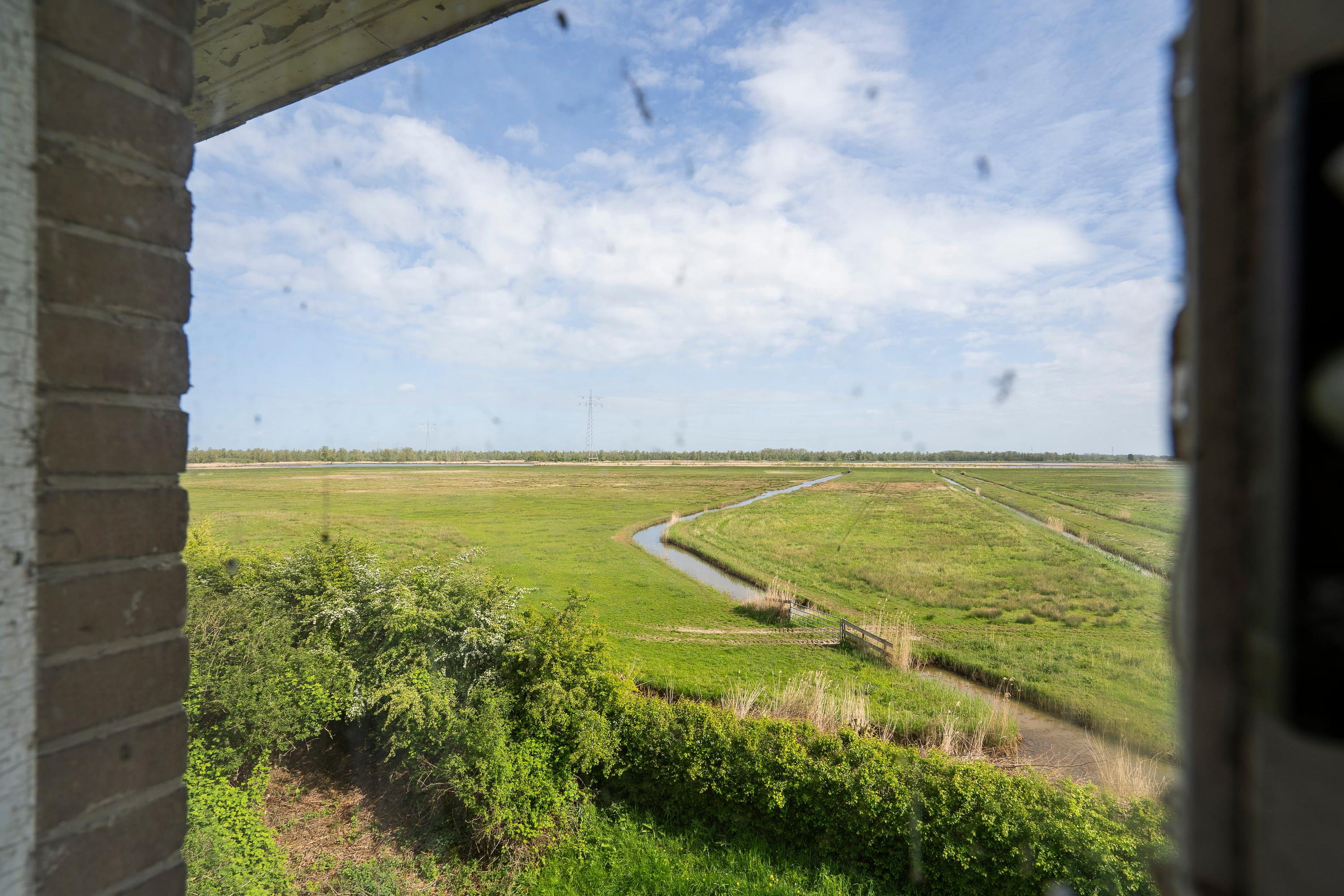 Biesbosch 30, afbeelding 35