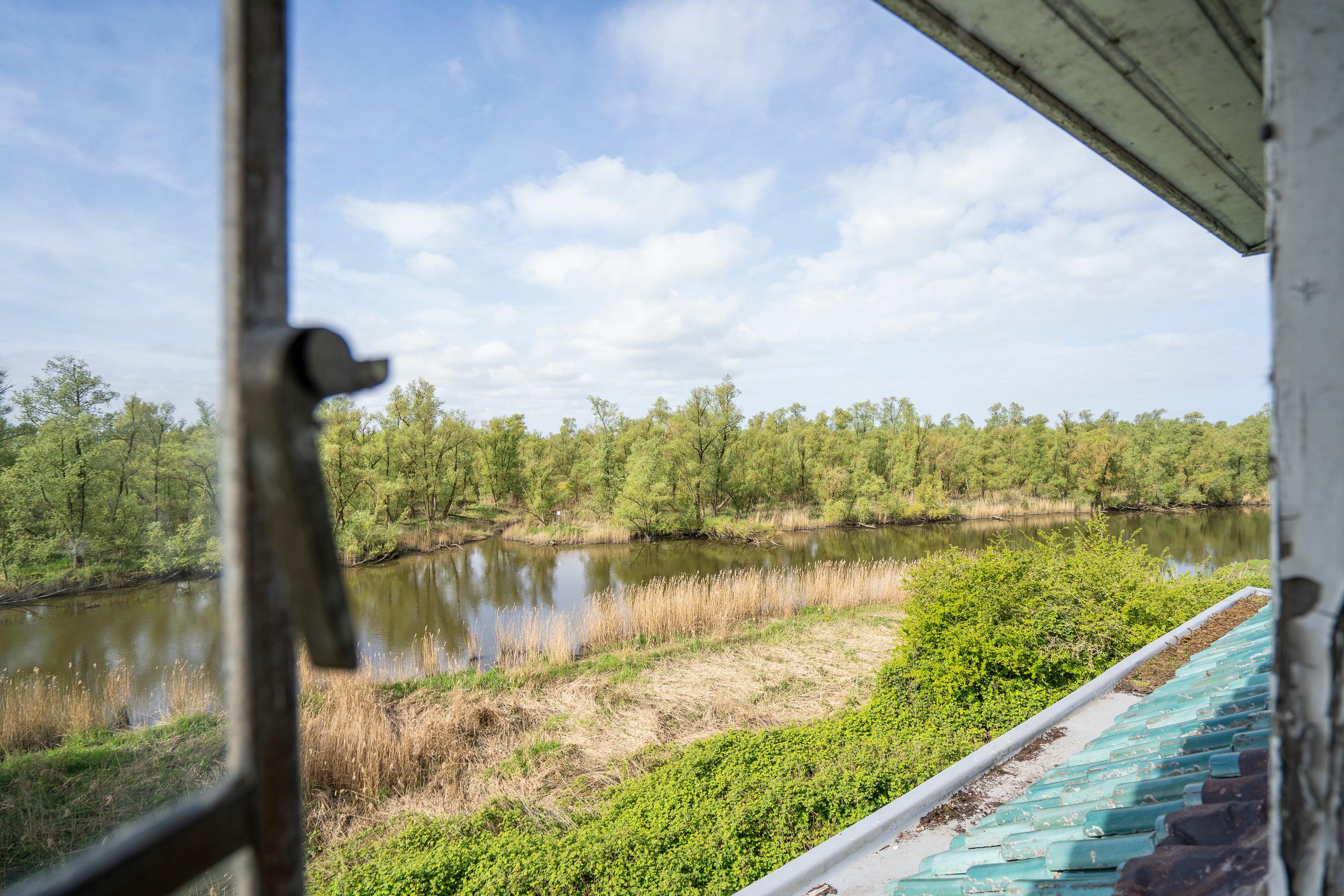 Biesbosch 30, afbeelding 43