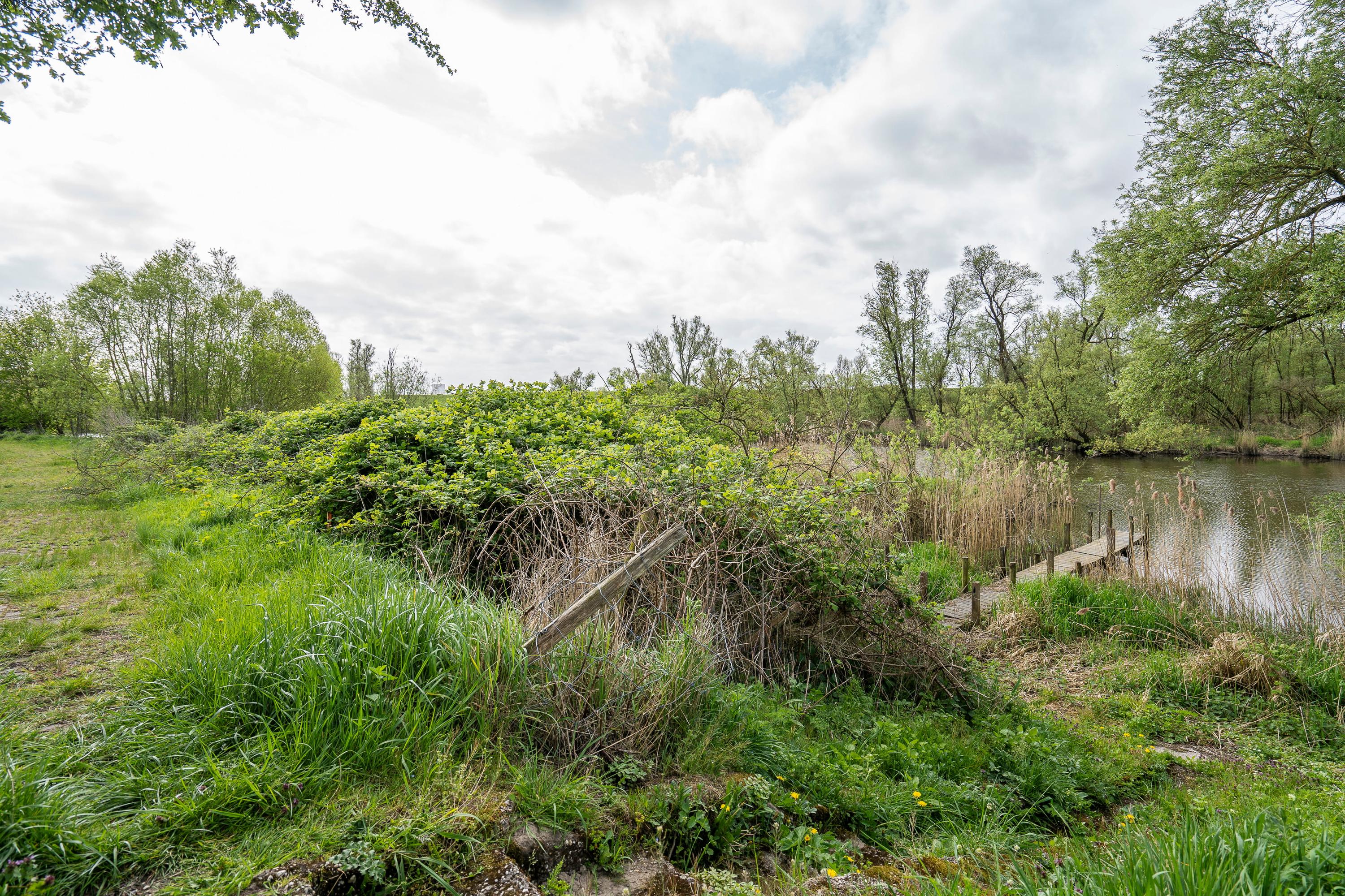 Biesbosch 30, afbeelding 57