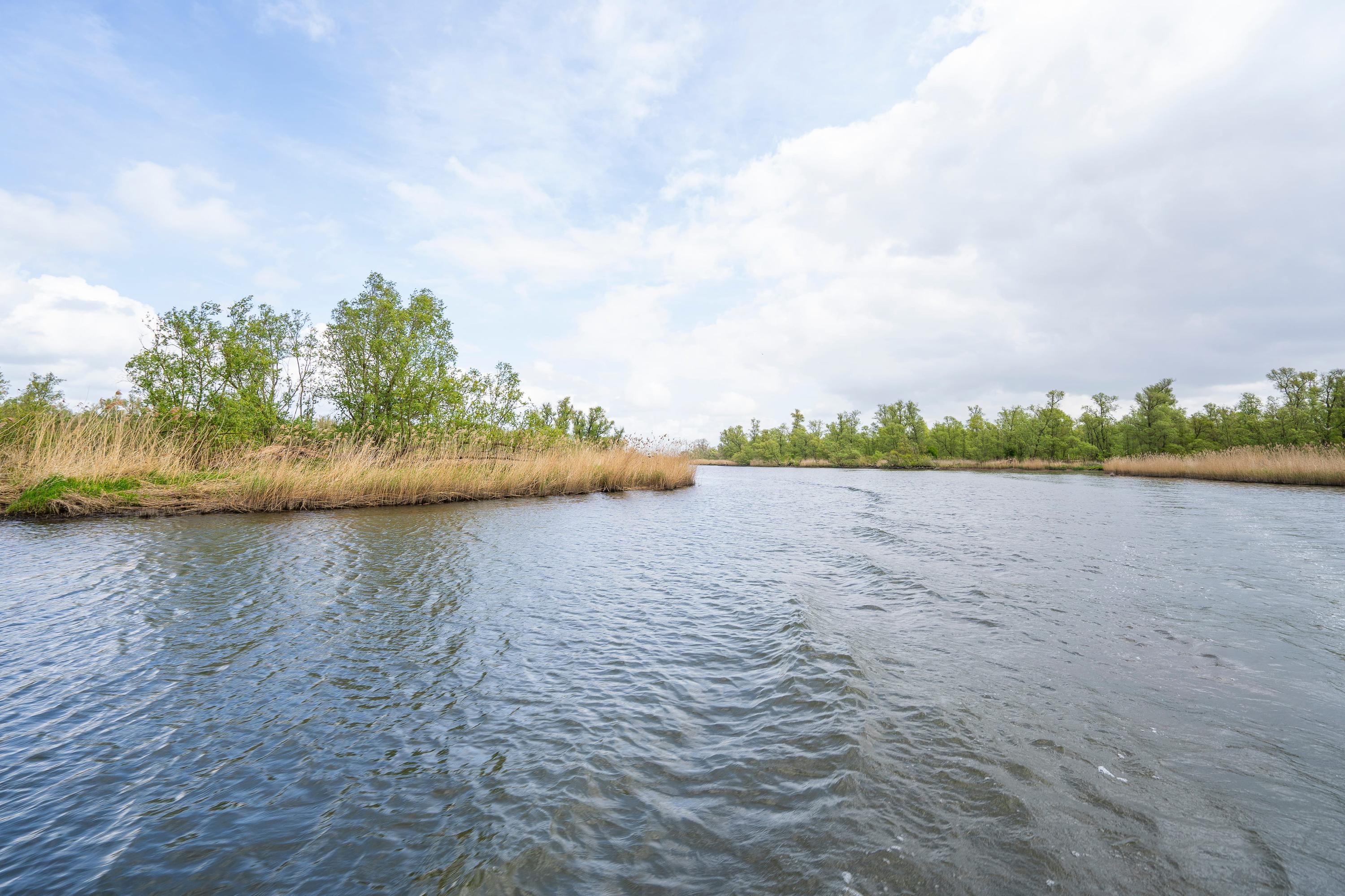Biesbosch 30, afbeelding 61