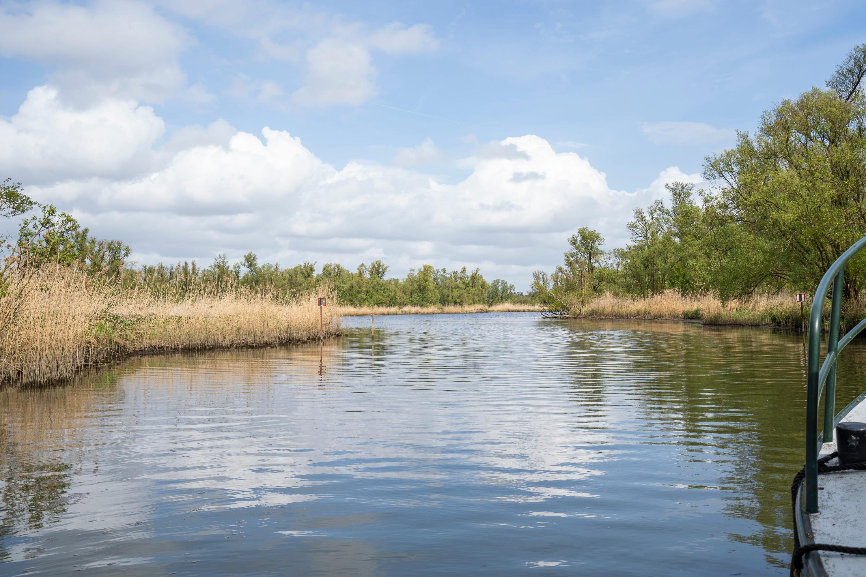 Biesbosch 30, afbeelding 63