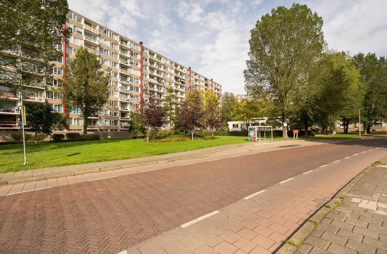 Afbeelding 31