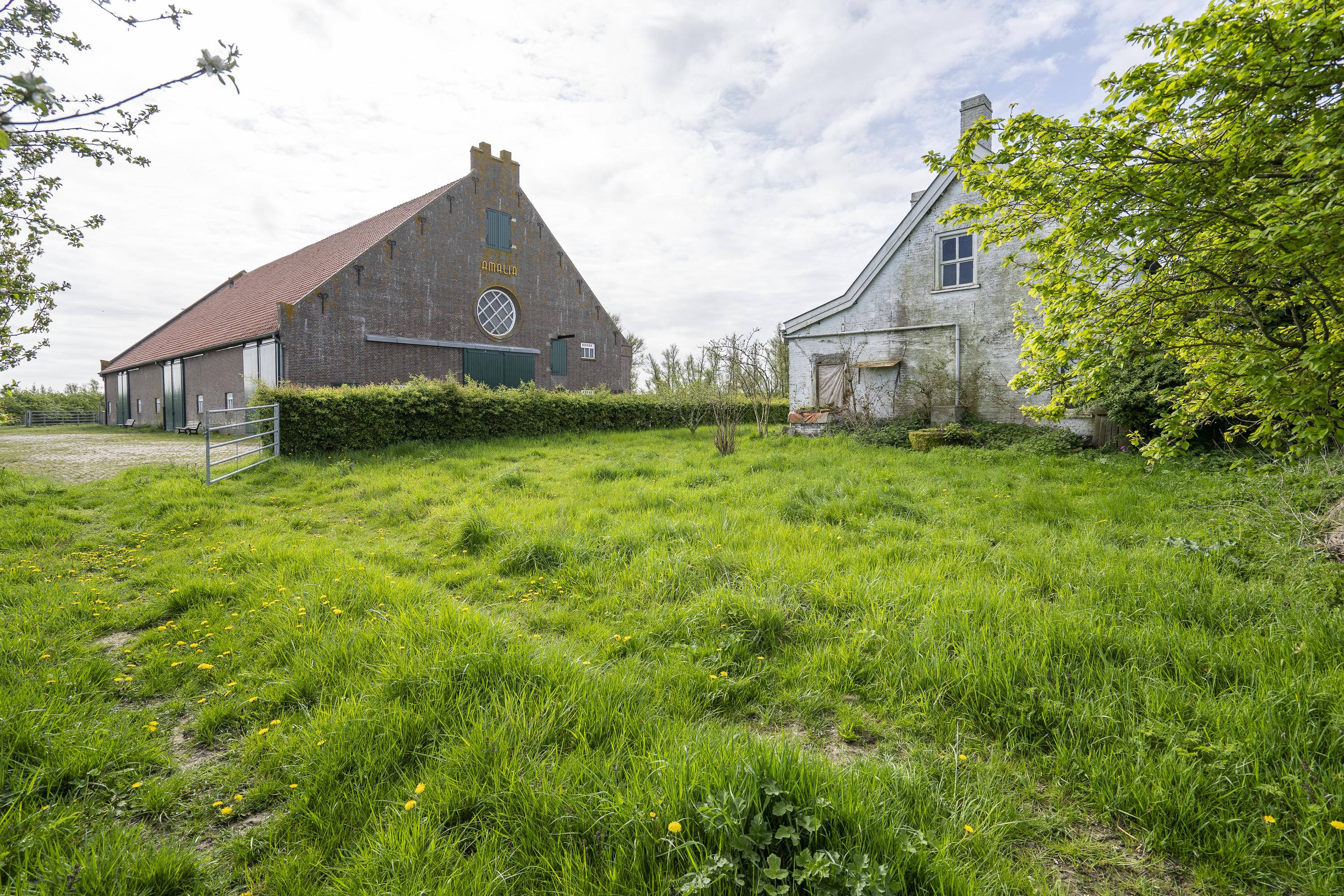Biesbosch 32, afbeelding 3