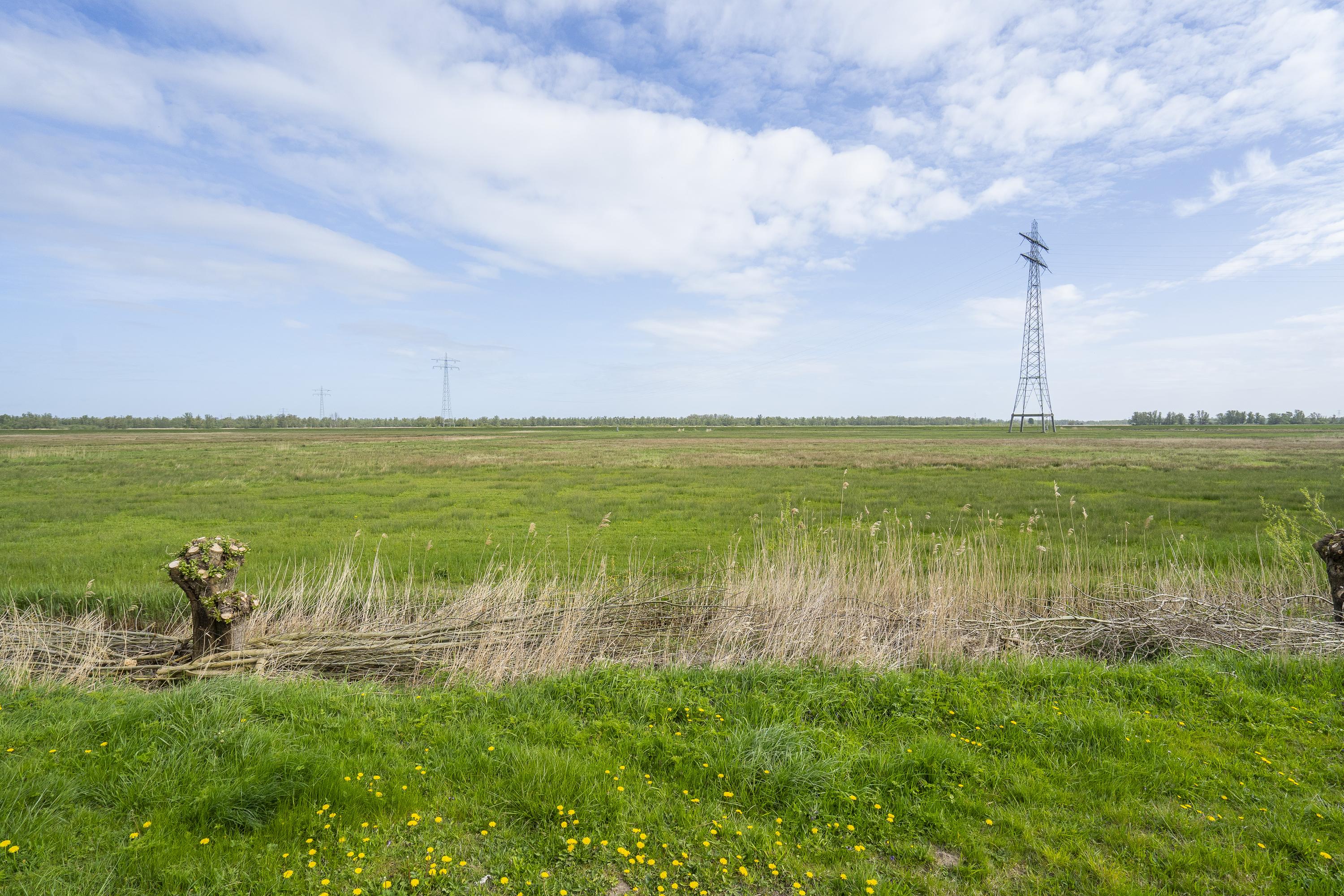 Biesbosch 32, afbeelding 33