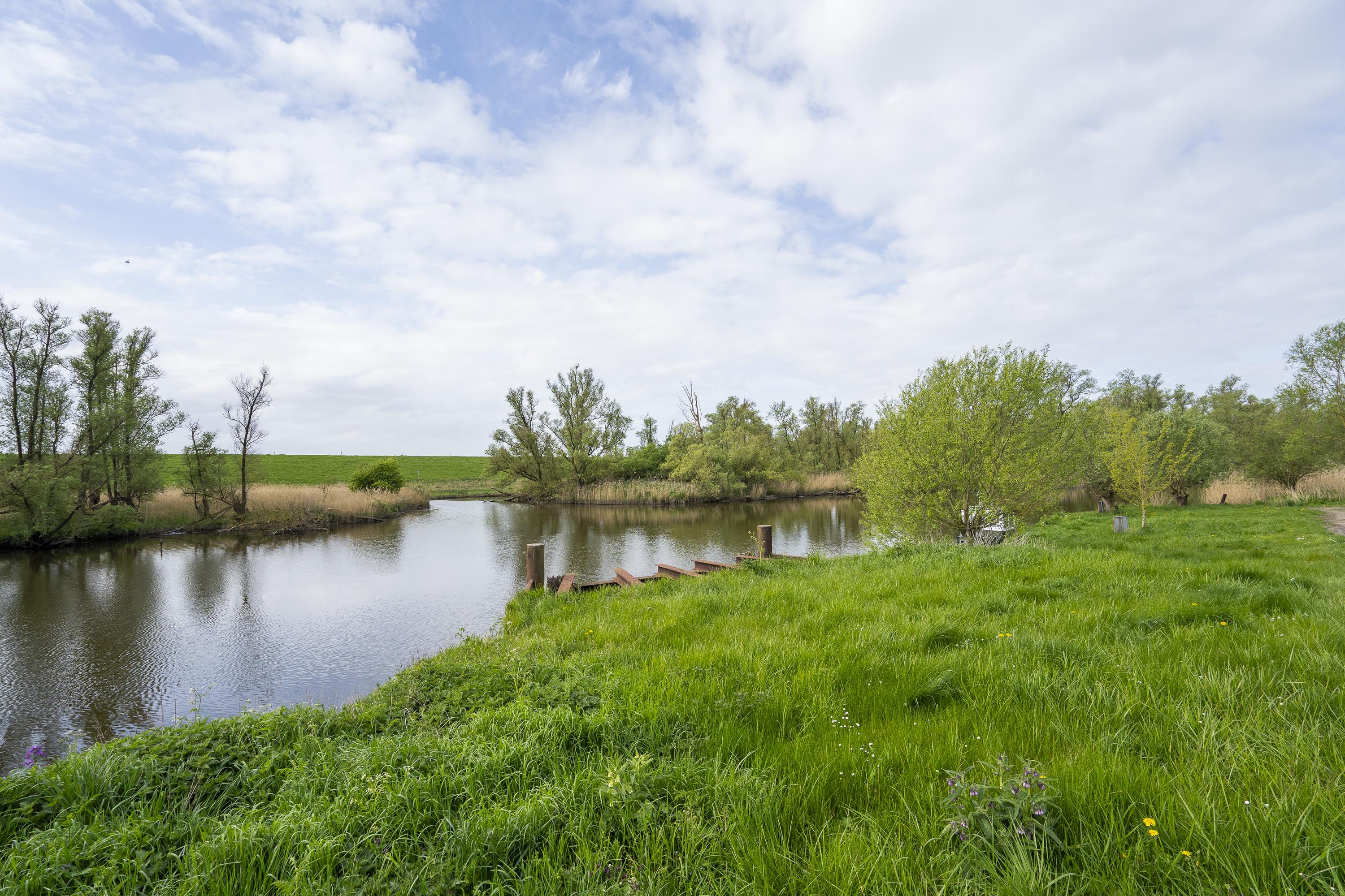 Biesbosch 32, afbeelding 34