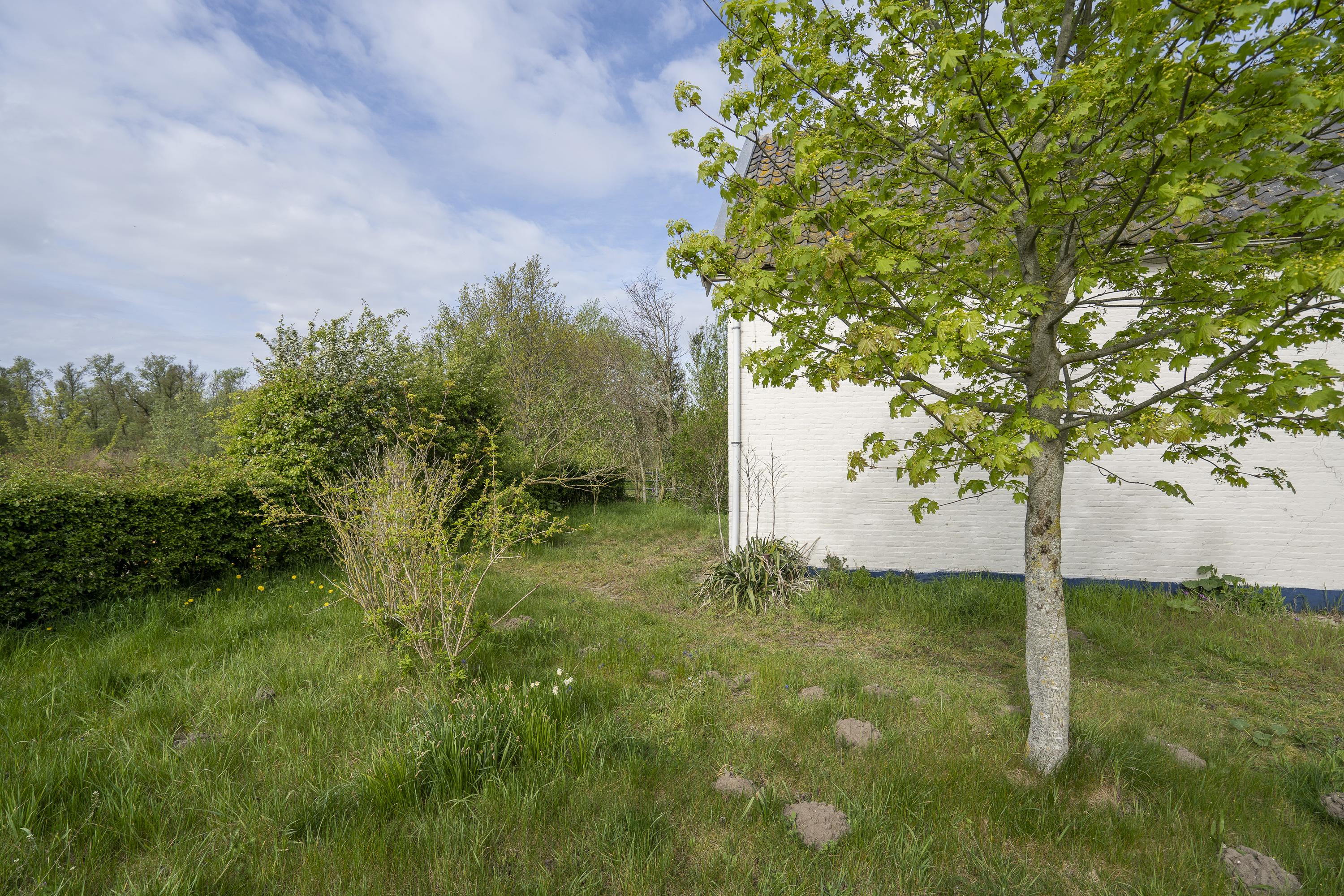 Biesbosch 32, afbeelding 39