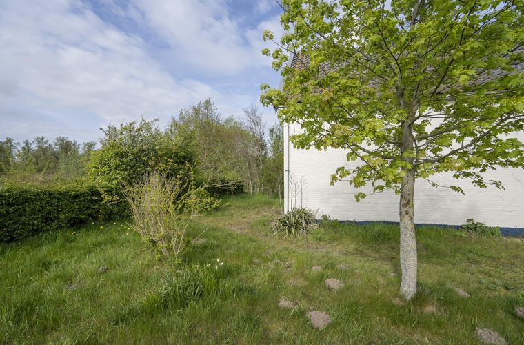 Afbeelding 39