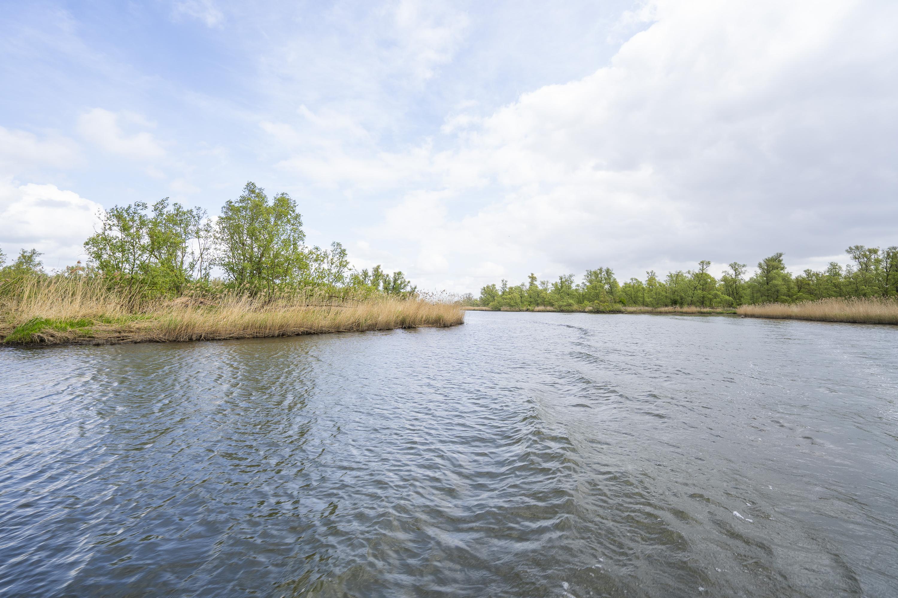 Biesbosch 32, afbeelding 41
