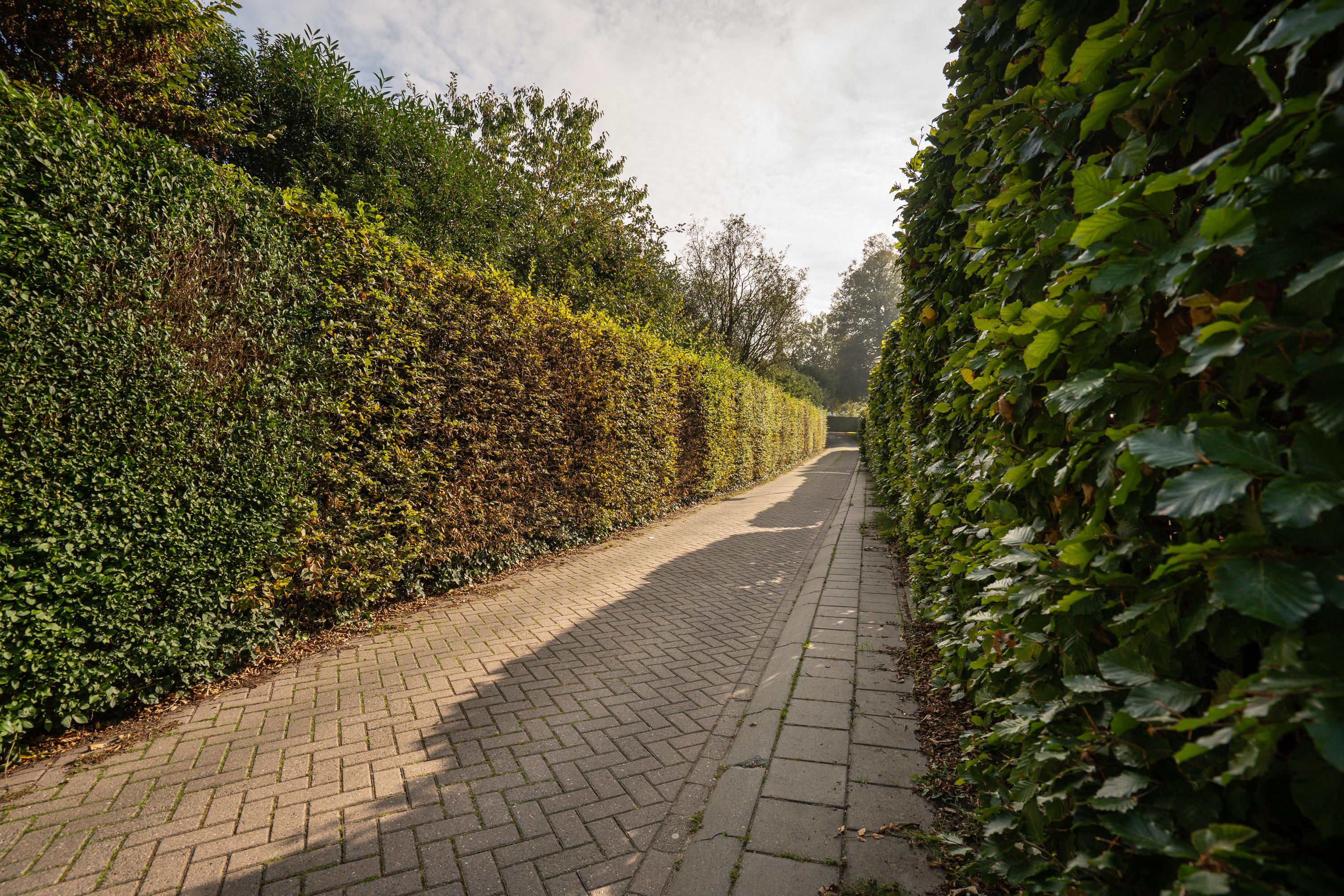 Buitenhof 2, afbeelding 51