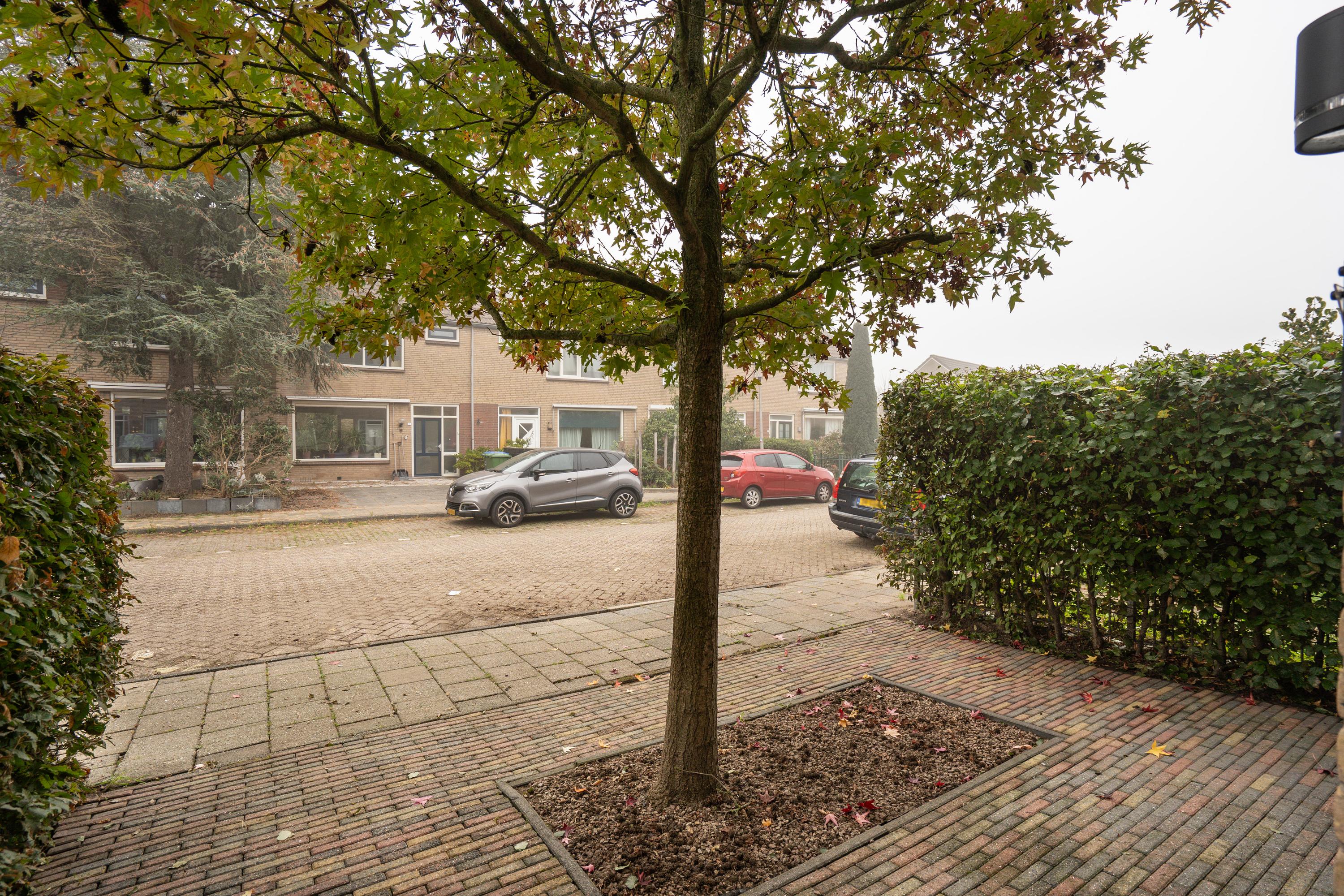Pinksterbloemstraat 12, afbeelding 46
